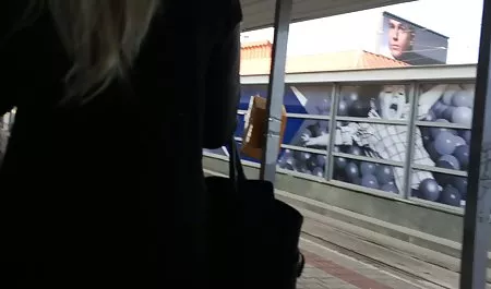 سخيف محارم عالمي مترجم الديك
