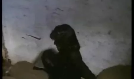 قاعات سكس اب مع بنته مترجم للتدليك فاتنة في سن المراهقة يحصل اللعنة الثابت