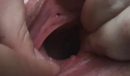 الرقص الدب ديك سكس محرمات مترجم كبيرة للجماهير 10286