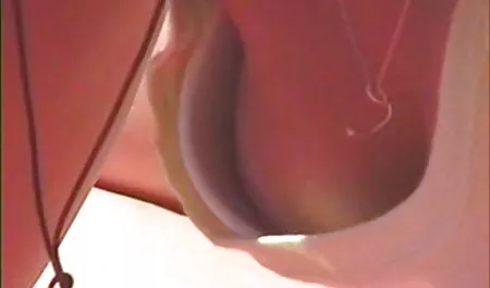صحيح الشرج مارلي يشتهي الحمار للحصول على افلام سكس محارم مترجم ٢٠١٩ قصفت