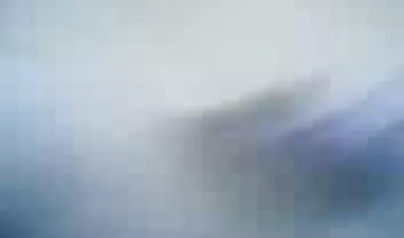 جينا اخ واختة مترجم فوكس هو تحول جنسى مع 4 ديكس كبيرة من شأنها أن تهب كل منها !!