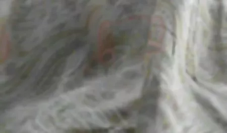 ليس حامل ؟؟ !! سكس اجنبي محارم جماعي - تجميع الهواة 2 !!!